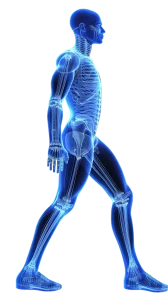 tema-azul-vista-lateral-hombre-gordo-tiro-cuerpo-completo-tema-azul-vista-lateral-hombre-graso-tiro-cuerpo-entero (1)