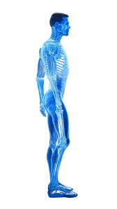 tema-azul-vista-lateral-hombre-gordo-tiro-cuerpo-completo-tema-azul-vista-lateral-hombre-graso-tiro-cuerpo-entero