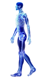 tema-azul-vista-lateral-hombre-gordo-tiro-cuerpo-completo-tema-azul-vista-lateral-hombre-graso-tiro-cuerpo-entero (2)